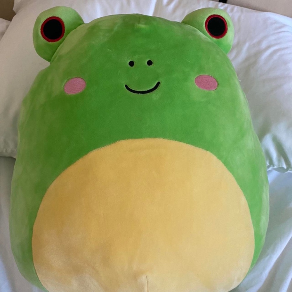 14 inch Wendy the Frog Squishmallow